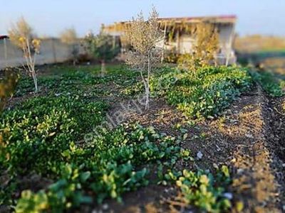 Arsa-Konut İmarlı