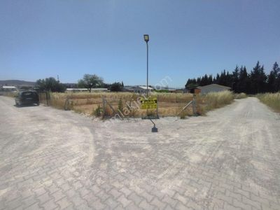 Arsa-Tarla