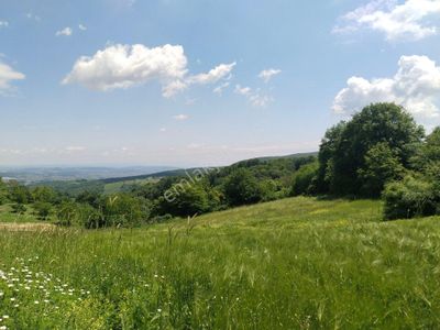 Arsa-Tarla