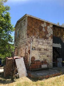Arsa-Zeytinlik