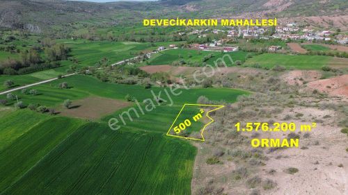 Arsa-Tarla