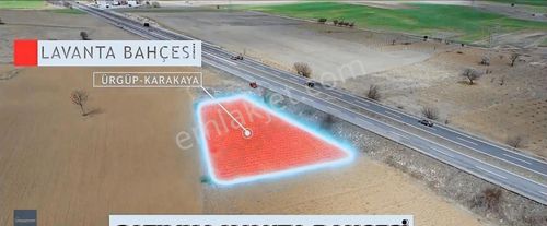 Arsa-Bağ & Bahçe