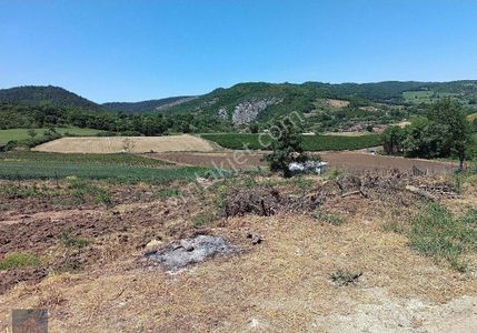 Arsa-Tarla