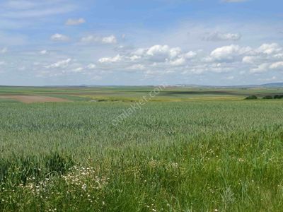 Arsa-Tarla