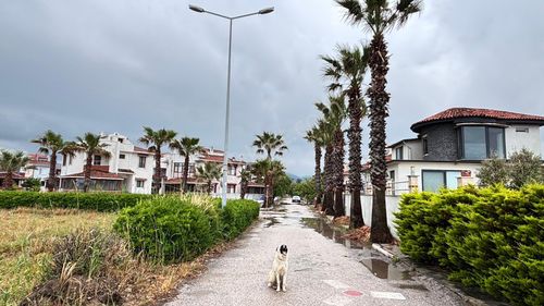 Konut-Yazlık