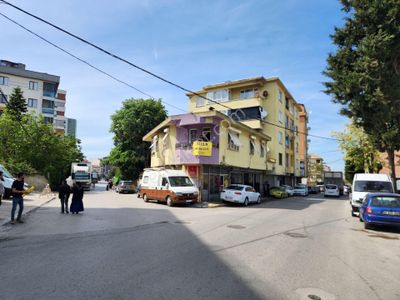 Konut-Bina