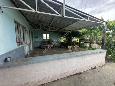 Arsa-Çiftlik