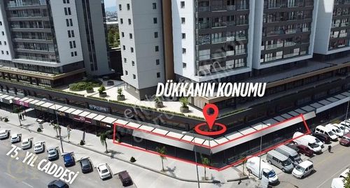 İşyeri-Dükkan & Mağaza