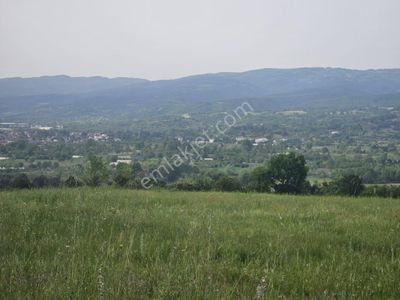 Arsa-Tarla