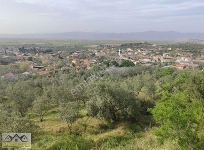 Arsa-Konut İmarlı