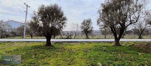 Arsa-Tarla