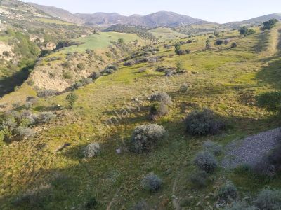 Arsa-Tarla
