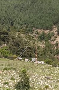 Arsa-Tarla