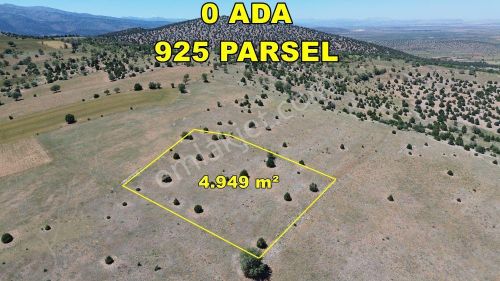 Arsa-Tarla