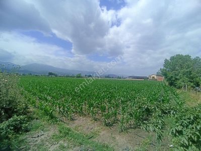 Arsa-Tarla