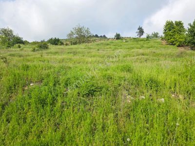 Arsa-Tarla
