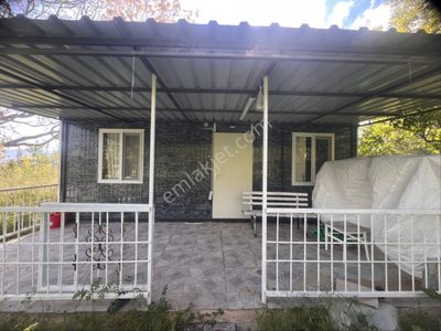 Arsa-Bağ & Bahçe