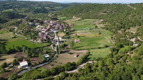 Arsa-Tarla