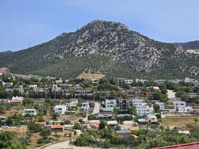 Arsa-Zeytinlik