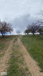 Arsa-Tarla