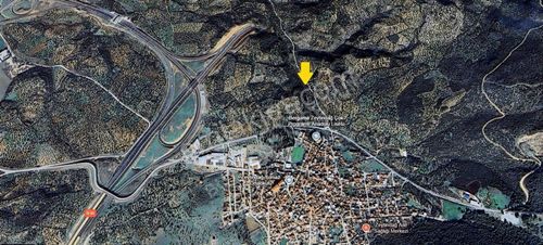 Arsa-Zeytinlik