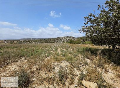 Arsa-Tarla