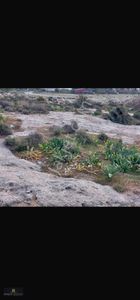 Arsa-Tarla
