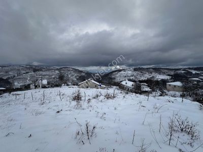 Arsa-Tarla