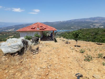 Arsa-Bağ & Bahçe