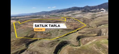 Arsa-Tarla