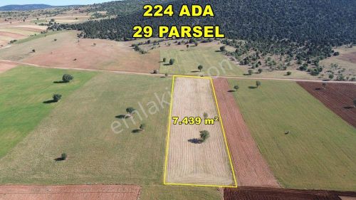Arsa-Tarla