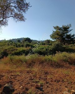 Arsa-Tarla