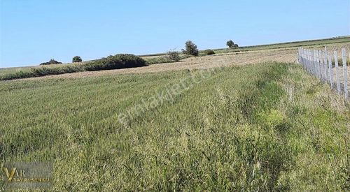 Arsa-Tarla