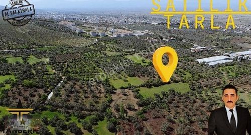 Arsa-Tarla