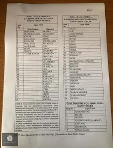 Arsa-Tarla