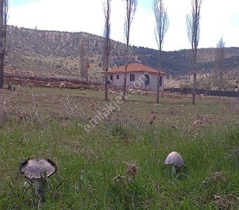 Konut-Müstakil Ev