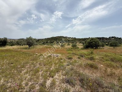 Arsa-Tarla