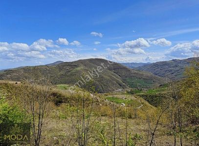 Arsa-Tarla