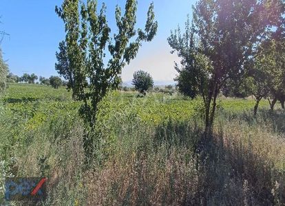 Arsa-Tarla