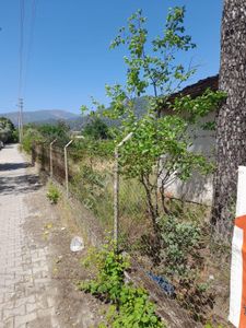 Arsa-Bağ & Bahçe