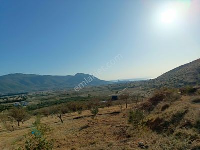 Arsa-Çiftlik