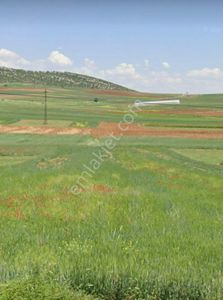 Arsa-Tarla
