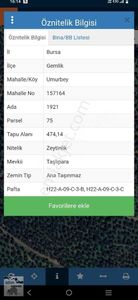 Arsa-Zeytinlik