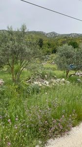 Arsa-Tarla