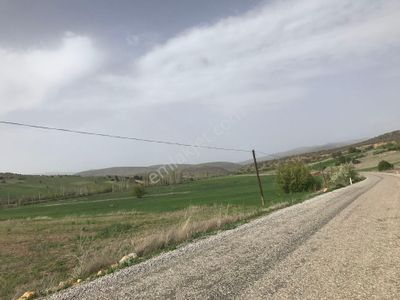 Arsa-Tarla