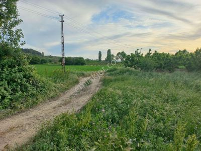 Arsa-Tarla