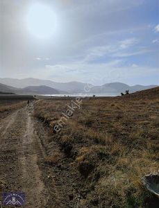 Arsa-Tarla