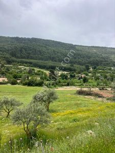 Arsa-Tarla
