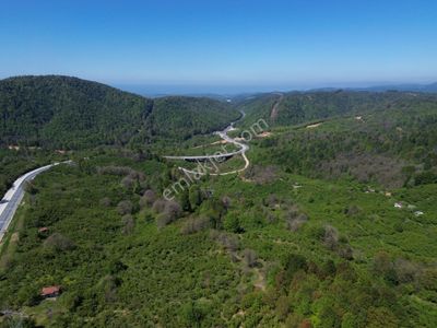 Arsa-Arazi