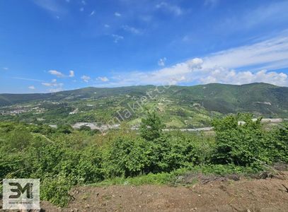Arsa-Bağ & Bahçe